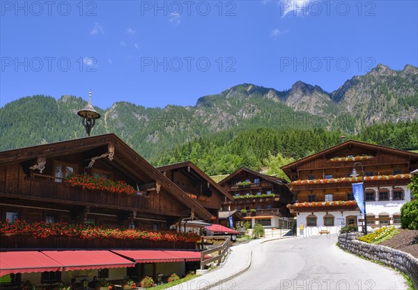 Wooden houses