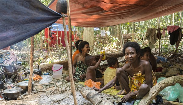 Women and children of the Orang Asil tribe sitting under tarpaulins in the jungle