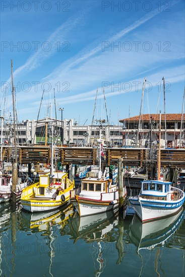 Fishing boats in the harbor