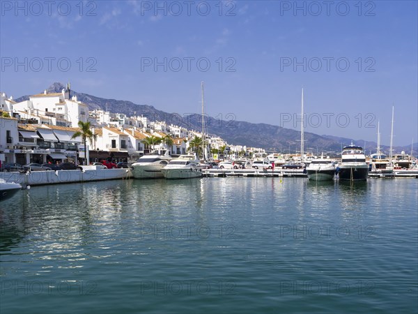 Marina with luxury yachts
