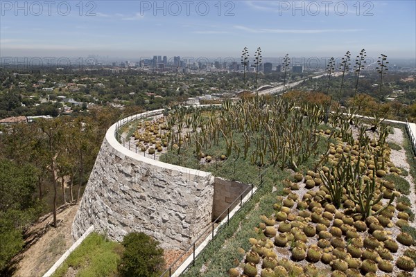 Cactus garden at the Getty Center