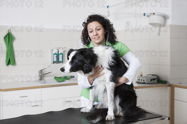 Veterinarian