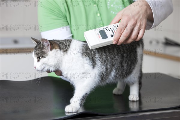 Veterinarian