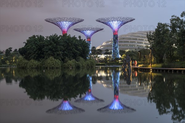 Super Trees