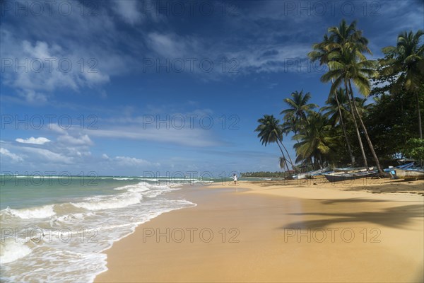 Sandy beach with palm trees in Las Terrenas
