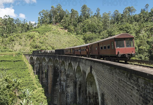 Train on Nine Arches Bridge