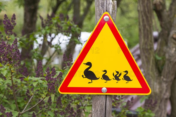 Road sign