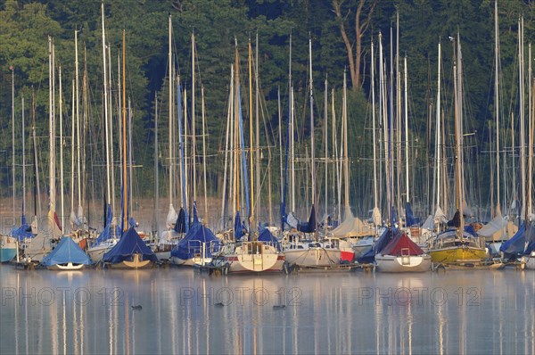 Sailboats