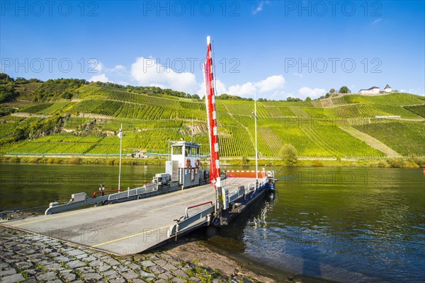 Ferry crossing the Moselle