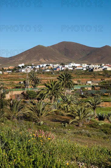 View of Tuineje