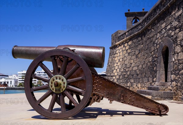 Cannon