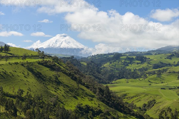 Cotopaxi volcano