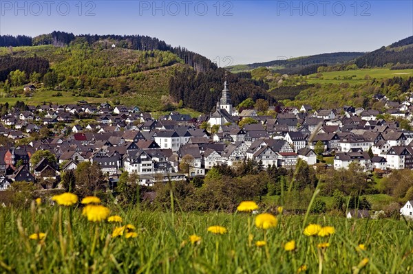 View of the town in spring with the church of St. Heribert