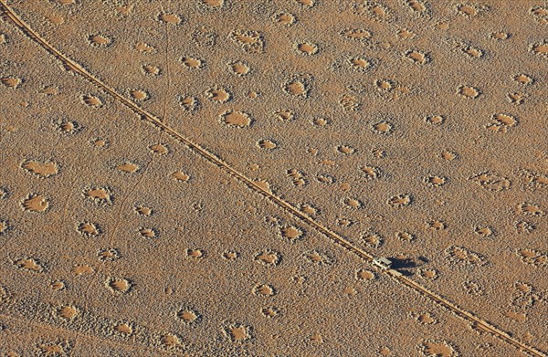 A vehicle of the balloon ground crew crosses a sandy plain with so-called Fairy Circles at the edge of the Namib Desert