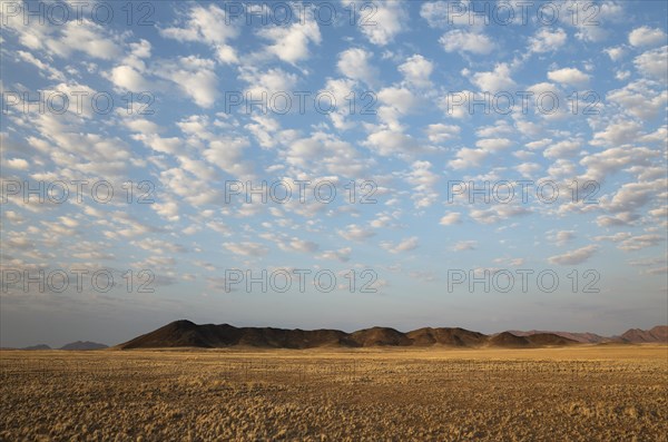 Arid plains