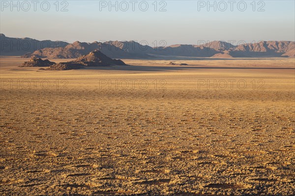 Grass covered desert plain at the edge of the Namib Desert