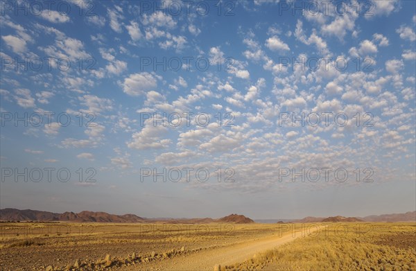 Gravel road on arid plain