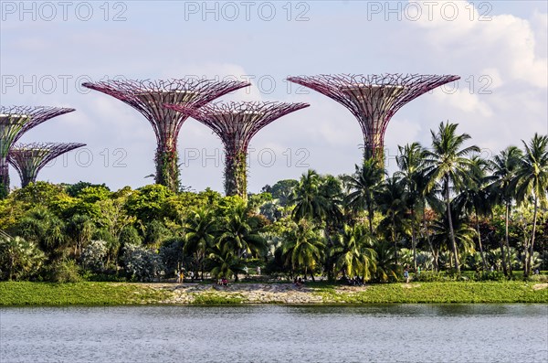 Supertrees