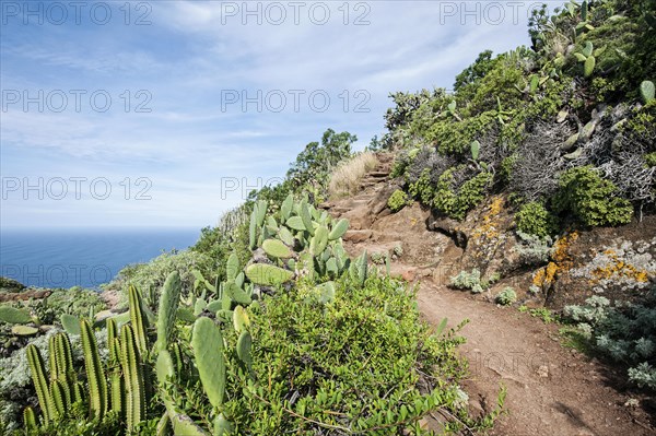 Hiking path in the Anaga Mountains
