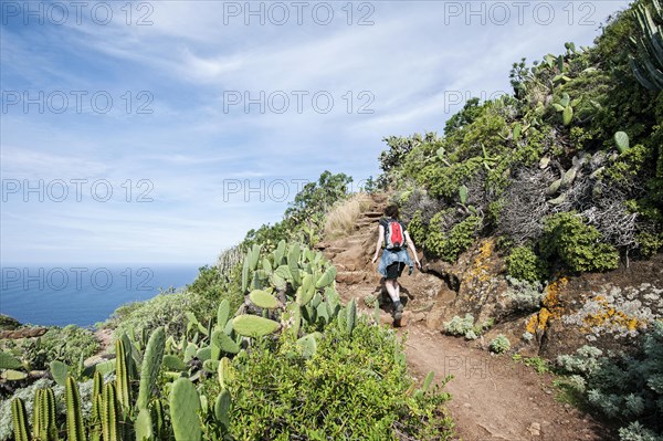 Hiking in the Anaga Mountains