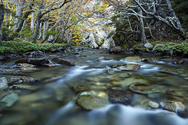 River