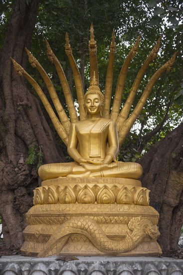 Buddha Statue