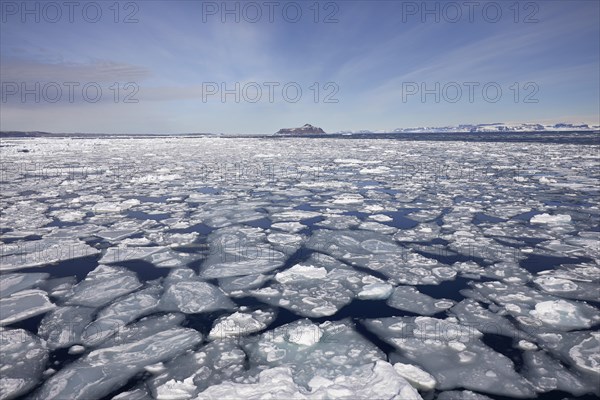 Pancake ice on the water surface