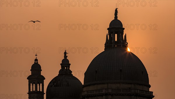 Santa Maria della Salute church at sunset