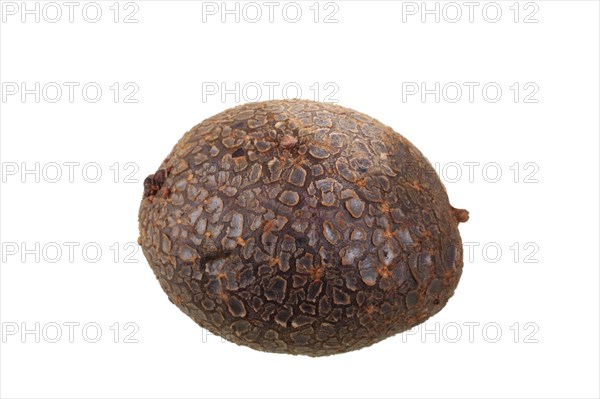 Potato