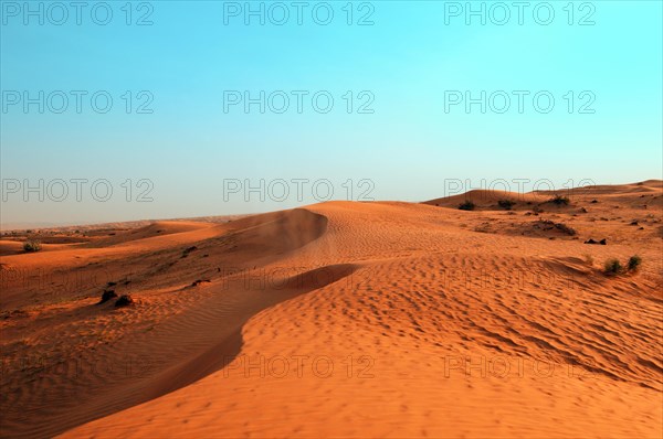 Desert