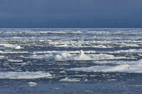 Ice floes