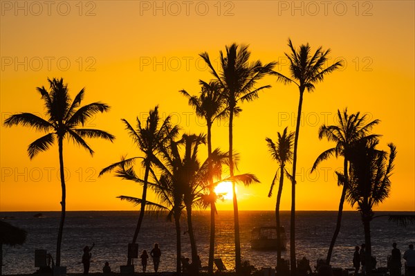 Sunset on the Kohala Coast