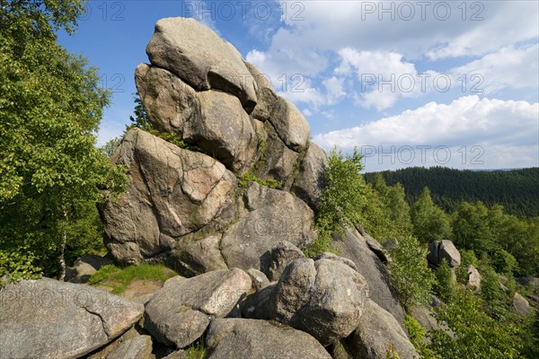Feigenbaumklippe or Feigenbaumkanzel