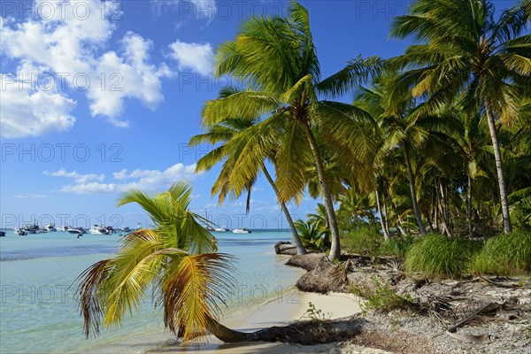 Palm Beach