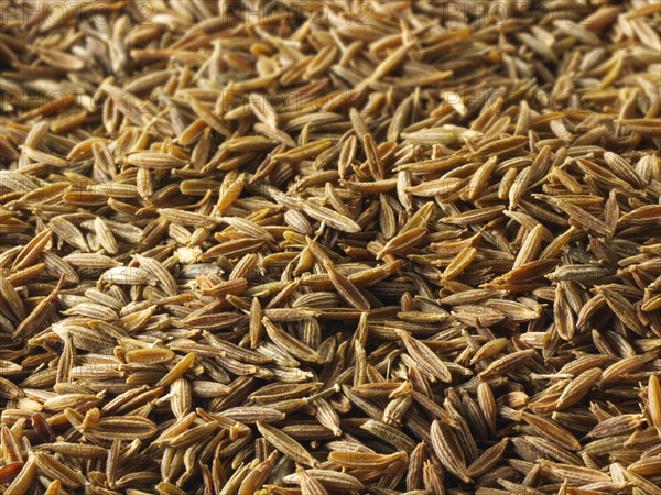 Cumin seeds