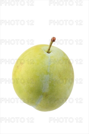 Plum