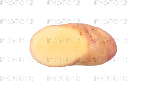 Potato