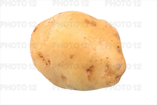 Potato