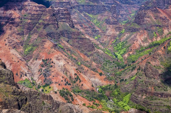 Waimea Canyon