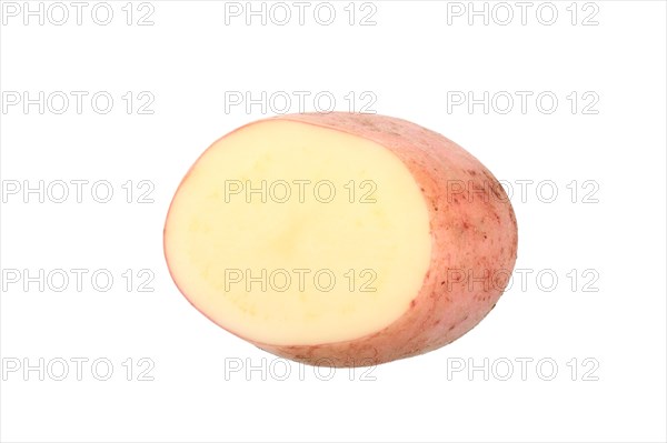 Potato