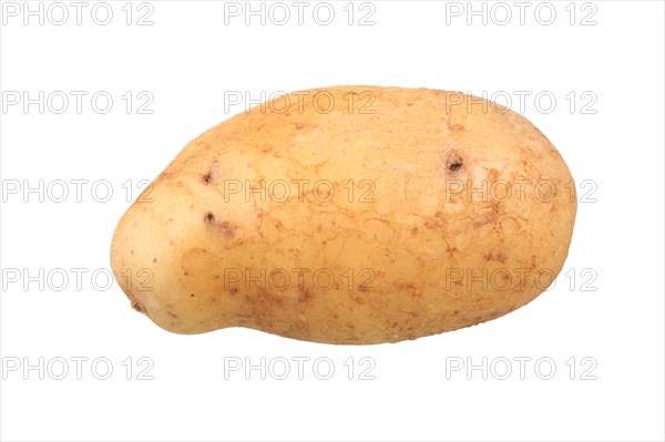 Potato