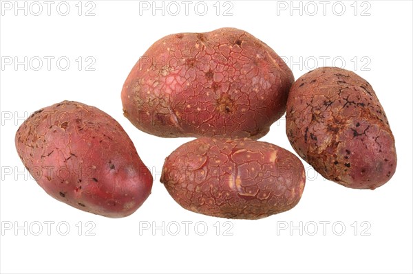 Potatoes