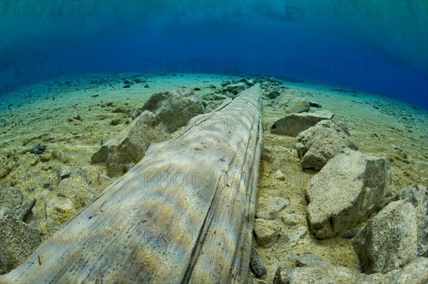 Underwater view