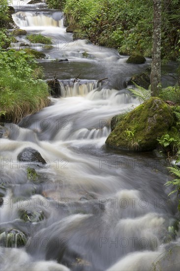 Kleine Ohe mountain stream