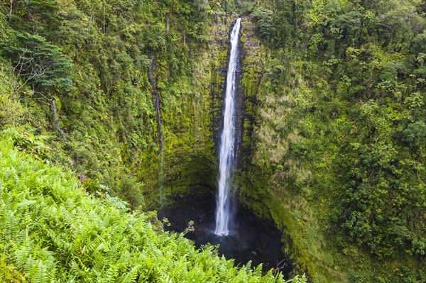 Akaka Falls