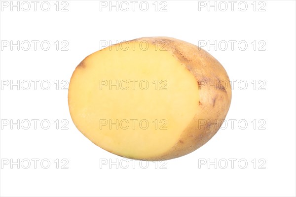 Potato