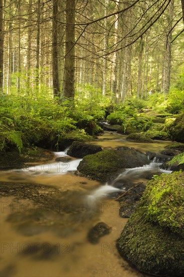 Lohnbach stream