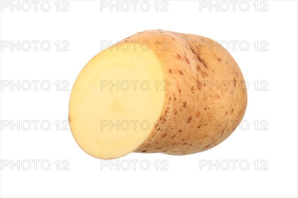 Potato