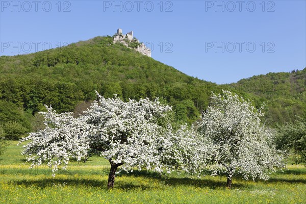 Reussenstein castle ruins above Neidlingen Valley