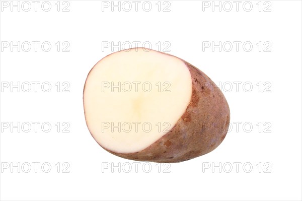 Potato